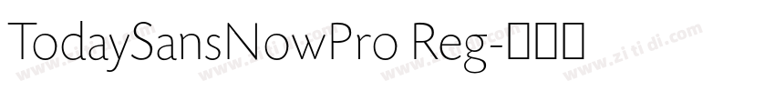 TodaySansNowPro Reg字体转换 TodaySansNowPro Reg字体转换